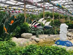 -南宫五洲植物乐园