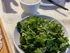 -丁老爷子苏香圆