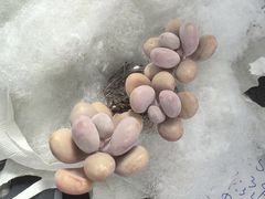 -金泉美食宫(金泉广场店)