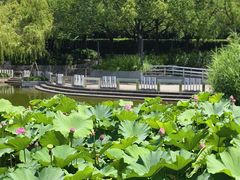 -苏州河梦清园环保主题公园