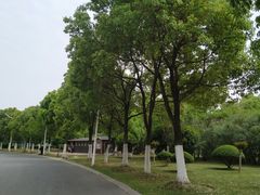 -滨湖塘西河公园