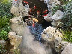 -鲤院·新中式美学·庭院餐厅(夫子庙店)