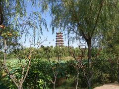 -济南方特东方神画