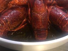 -龙巢盱眙龙虾·牛蛙·烧烤宵夜(八卦岭店)