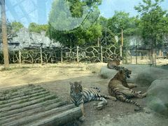 -常州淹城野生动物世界