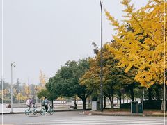 -四川大学(江安校区)