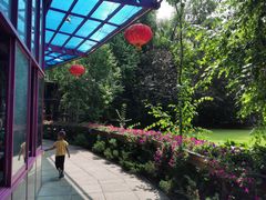 -大鹅岛绿色生态美食园