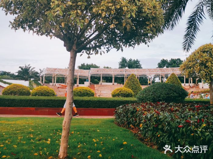 白鹭洲公园图片