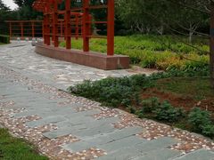 -燕郊植物园