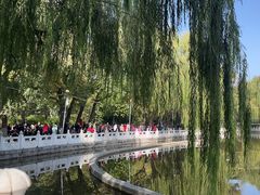 -丰台花园