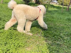 -滑县服务区便利店