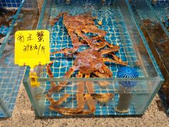 -陈先进鱼馆·地道农家菜(萧山奥体店)
