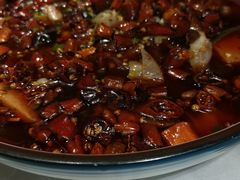 -雲蜀龙阁·金牌水煮鱼(方庄店)