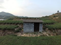 -军营村