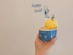 -海比甜店·意式手工冰激淋happy habit gelato