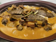 黄焖生态大甲鱼-海景壹号大酒店(滨湖店)