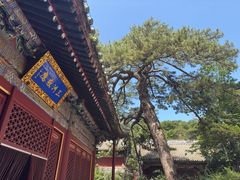 -潭柘寺景区