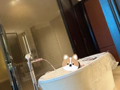 -三亚湾海居铂尔曼度假酒店