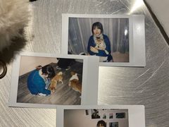 -浣熊柯尔鸭土拨鼠·电玩咖