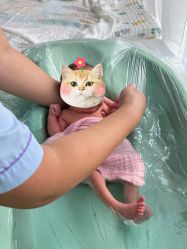 -喜孕时光月子中心(北大妇儿东侧店)