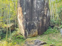 -江西阳明山国家森林公园