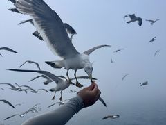 -海驴岛(荣成市)