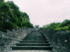 -黄贤森林公园