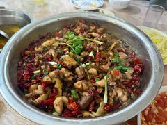 -食神又名厕所兔