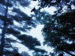 -秦岭天竺山景区