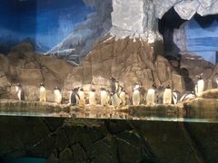 -成都浩海立方海洋公园