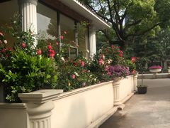 -上海市民办金苹果学校