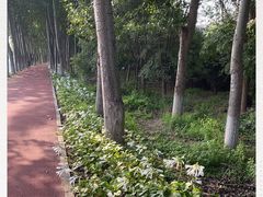 -东郊湿地公园