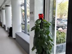 -北京地坛口腔门诊部
