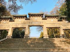 -灵谷景区