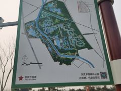 -东郊湿地公园
