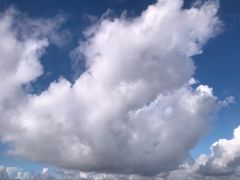 -演武大桥观景平台