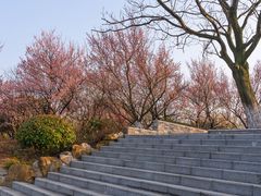 -南京珍珠泉风景区