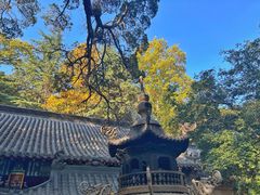 -青岛崂山太清宫