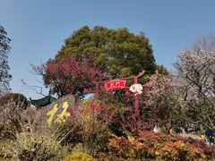-无锡梅园公园