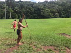 -热带雨林自然公园