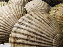 -枫伝料理居酒屋