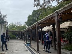 -长兴岛郊野公园农场食堂