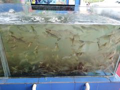 -七鲜渔港美食餐厅(巽寮湾海景店)