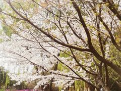 -白塘生态植物园