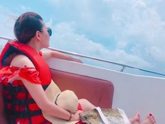 -珊瑚岛
