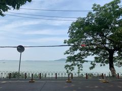 -武汉大学-樱园