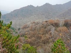 -玉渡山自然风景区