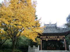 -汇龙潭
