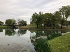 -上海佘山世茂艾美酒店
