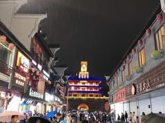 -王阿姨文昌油赞子(府桥街店)